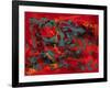 Tropical Haze VII-Hilary Winfield-Framed Giclee Print