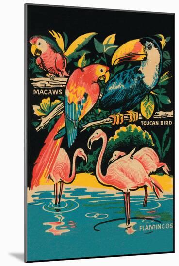 Tropical Hobbyland - Birds-null-Mounted Art Print