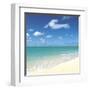 Tropical Horizons III-Adam Brock-Framed Giclee Print