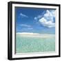 Tropical Horizons IV-Adam Brock-Framed Giclee Print