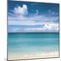 Tropical Horizons V-Adam Brock-Mounted Giclee Print