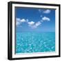 Tropical Horizons VI-Adam Brock-Framed Giclee Print