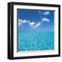 Tropical Horizons VI-Adam Brock-Framed Giclee Print