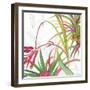 Tropical II-Asia Jensen-Framed Art Print