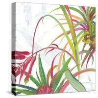 Tropical II-Asia Jensen-Stretched Canvas