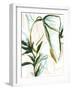 Tropical Impromptu III-June Vess-Framed Art Print