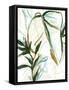 Tropical Impromptu III-June Vess-Framed Stretched Canvas