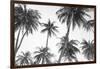 Tropical In Black & White-Sisi and Seb-Framed Photo