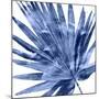 Tropical Indigo Palm IV-Melonie Miller-Mounted Giclee Print