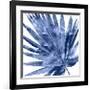 Tropical Indigo Palm IV-Melonie Miller-Framed Giclee Print