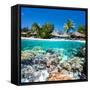 Tropical Island above and Bellow Water-BlueOrange Studio-Framed Stretched Canvas