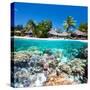 Tropical Island above and Bellow Water-BlueOrange Studio-Stretched Canvas