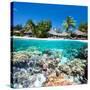 Tropical Island above and Bellow Water-BlueOrange Studio-Stretched Canvas