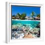 Tropical Island above and Bellow Water-BlueOrange Studio-Framed Photographic Print