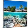 Tropical Island above and Bellow Water-BlueOrange Studio-Mounted Photographic Print