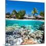 Tropical Island above and Bellow Water-BlueOrange Studio-Mounted Photographic Print