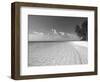 Tropical Island and Beach, Maldives, Indian Ocean, Asia-Sakis Papadopoulos-Framed Photographic Print