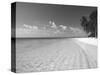 Tropical Island and Beach, Maldives, Indian Ocean, Asia-Sakis Papadopoulos-Stretched Canvas