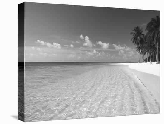 Tropical Island and Beach, Maldives, Indian Ocean, Asia-Sakis Papadopoulos-Stretched Canvas