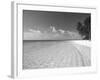 Tropical Island and Beach, Maldives, Indian Ocean, Asia-Sakis Papadopoulos-Framed Photographic Print