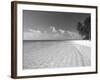 Tropical Island and Beach, Maldives, Indian Ocean, Asia-Sakis Papadopoulos-Framed Photographic Print