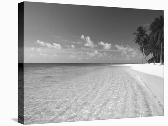 Tropical Island and Beach, Maldives, Indian Ocean, Asia-Sakis Papadopoulos-Stretched Canvas