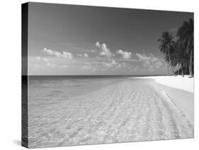 Tropical Island and Beach, Maldives, Indian Ocean, Asia-Sakis Papadopoulos-Stretched Canvas
