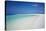 Tropical Island and Lagoon, Maldives, Indian Ocean, Asia-Sakis Papadopoulos-Stretched Canvas