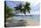 Tropical Island Beach at Matangi Island Resort, Vanua Levu, Fiji, Pacific-Louise Murray-Stretched Canvas