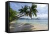 Tropical Island Beach at Matangi Island Resort, Vanua Levu, Fiji, Pacific-Louise Murray-Framed Stretched Canvas