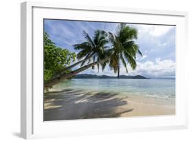 Tropical Island Beach at Matangi Island Resort, Vanua Levu, Fiji, Pacific-Louise Murray-Framed Photographic Print