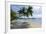 Tropical Island Beach at Matangi Island Resort, Vanua Levu, Fiji, Pacific-Louise Murray-Framed Photographic Print