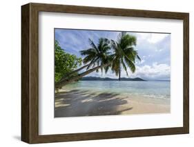 Tropical Island Beach at Matangi Island Resort, Vanua Levu, Fiji, Pacific-Louise Murray-Framed Photographic Print