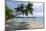 Tropical Island Beach at Matangi Island Resort, Vanua Levu, Fiji, Pacific-Louise Murray-Mounted Photographic Print