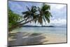 Tropical Island Beach at Matangi Island Resort, Vanua Levu, Fiji, Pacific-Louise Murray-Mounted Premium Photographic Print