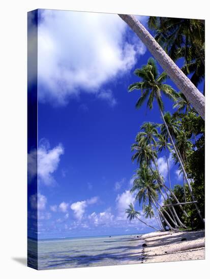 Tropical Island, Bora Bora-Ron Whitby Photography-Stretched Canvas