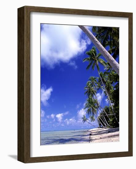 Tropical Island, Bora Bora-Ron Whitby Photography-Framed Photographic Print