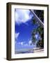 Tropical Island, Bora Bora-Ron Whitby Photography-Framed Photographic Print