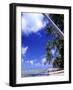 Tropical Island, Bora Bora-Ron Whitby Photography-Framed Photographic Print