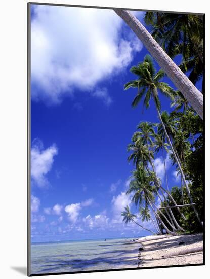 Tropical Island, Bora Bora-Ron Whitby Photography-Mounted Photographic Print