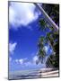 Tropical Island, Bora Bora-Ron Whitby Photography-Mounted Photographic Print