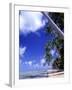 Tropical Island, Bora Bora-Ron Whitby Photography-Framed Photographic Print