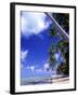 Tropical Island, Bora Bora-Ron Whitby Photography-Framed Photographic Print