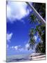 Tropical Island, Bora Bora-Ron Whitby Photography-Mounted Photographic Print