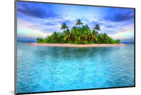 Tropical Island Of Maldives-null-Mounted Art Print