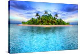 Tropical Island Of Maldives-null-Stretched Canvas