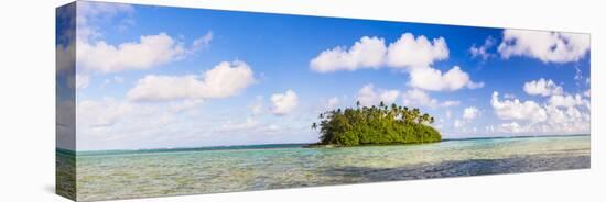 Tropical Island of Motu Taakoka Covered in Palm Trees in Muri Lagoon, Cook Islands, Pacific-Matthew Williams-Ellis-Stretched Canvas