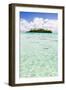 Tropical Island of Motu Taakoka Covered in Palm Trees in Muri Lagoon, Cook Islands, Pacific-Matthew Williams-Ellis-Framed Photographic Print