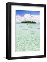 Tropical Island of Motu Taakoka Covered in Palm Trees in Muri Lagoon, Cook Islands, Pacific-Matthew Williams-Ellis-Framed Photographic Print