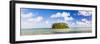 Tropical Island of Motu Taakoka Covered in Palm Trees in Muri Lagoon, Cook Islands, Pacific-Matthew Williams-Ellis-Framed Photographic Print